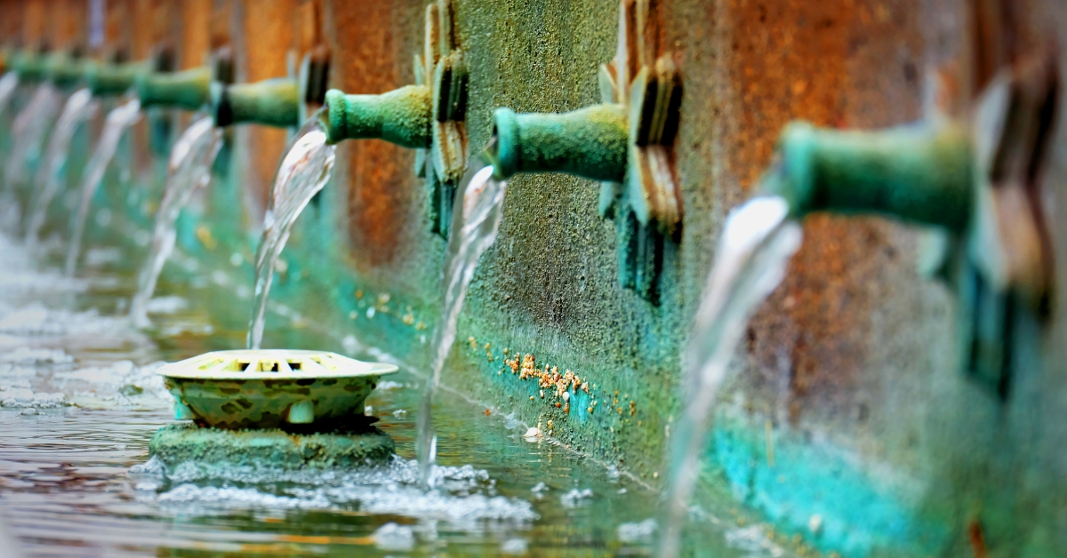 what is brackish water